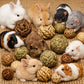 Treat & Play Ball for Bunnies, Guinea Pigs & Rodents Various Types