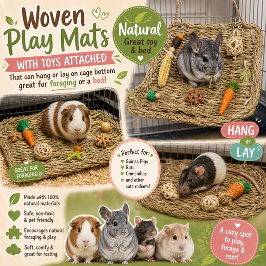 Woven Play Mat with Toys For Guinea Pigs, Rabbit, Chinchillas, Rats & More All Natural