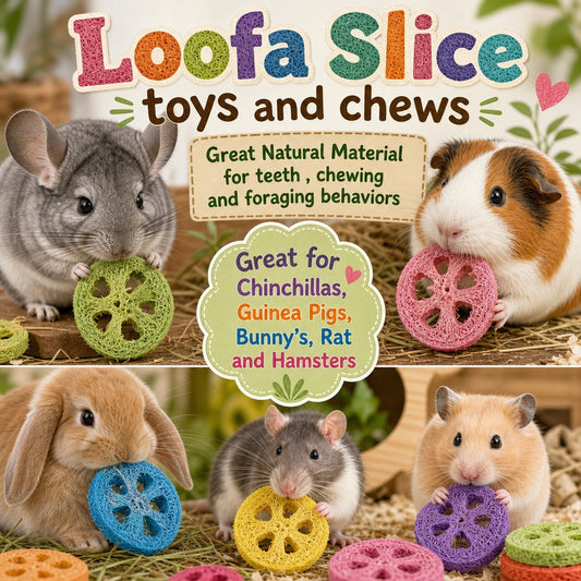 Loofah  Chews Natural and flavor Colored for Rabbit, Guinea Pigs & Rodents