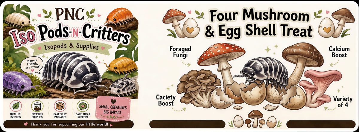 Isopod & Invertebrate Treat 4 Mushroom/Egg Shell Treat