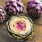 50 PURPLE ROMAGNA ARTICHOKE Italian Cynara Scolymus Flower Vegetable Seeds