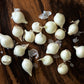 500 Crystal White WAX PEARL ONION Allium Cepa Vegetable Seeds