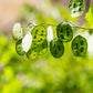 100 LUNARIA Biennis ( MONEY PLANT / Silver Dollar / Honesty / Moonwort / L Annua ) Flower Seeds