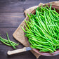 50 SLENDERETTE GREEN BEAN French Stringless Phaseolus Vulgaris Vegetable Seeds