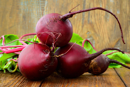 250 EARLY WONDER BEET Beta Vulgaris Vegetable Seeds