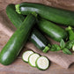 50 BLACK BEAUTY ZUCCHINI Summer Squash Cucurbita Pepo Vegetable Seeds