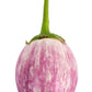 50 Organic Italian EGGPLANT ROSA BIANCA Solanum Melongena Esculentum Vegetable Seeds