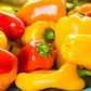 200 SANTA Fe GRANDE PEPPER (Guero Chili Pepper / Yellow Hot Chili Pepper) Capsicum Annuum Vegetable Seeds