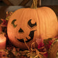 50 SPOOKIE PUMPKIN aka Deep Sugar Pie Pumpkin Cucurbita Pepo Vegetable Seeds