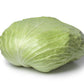 500 FLAT DUTCH Late CABBAGE Brassica Oleracea Capitata Vegetable Seeds