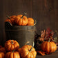 20 JACK Be LITTLE PUMPKIN Miniature Vegetable Cucurbita Pepo Seeds