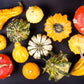 30 MIXED GOURD Lagenaria Siceraria Seeds