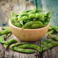 25 Sweet BLACK JET SOYBEAN Edamame Bean Glycine Max Vegetable Legume Seeds