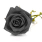 5 BLACK ROSE Rosa Bush Shrub Perennial Flower Seeds