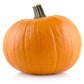 50 SPOOKIE PUMPKIN aka Deep Sugar Pie Pumpkin Cucurbita Pepo Vegetable Seeds