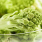 500 ROMANESCO BROCCOLI Broccoflower Roman Cauliflower Pyramid Broccolo Brassica Oleracea Vegetable Seeds