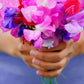 60 Mixed Colors SWEET PEA ROYAL Family Mix Lathyrus Odoratus Flower Vine Seeds
