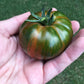 50 CHOCOLATE STRIPES TOMATO Brown with Green Lycopersicon Fruit Vegetable Seeds