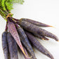 300 BLACK NEBULA CARROT Daucus Carota Root Vegetable Seeds