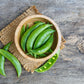 50 SNOW PEA Pisum Sativum Vegetable Seeds