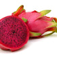 20 PURPLE DRAGON FRUIT (Pitaya / Pitahaya / Strawberry Pear) Hylocereus Undatus Cactus Seeds