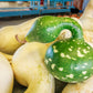 15 GOOSENECK / Bottle / SWAN GOURD Lagenaria Siceraria Vine Seeds