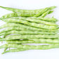 50 KENTUCKY WONDER Pole BEAN Phaseolus Vulgaris Vegetable Seeds