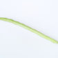 50 KENTUCKY WONDER Pole BEAN Phaseolus Vulgaris Vegetable Seeds