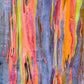 50 RAINBOW EUCALYPTUS Deglupta Gum Multicolor Bark Tree Seeds