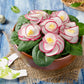 2000 CRIMSON GIANT RADISH Raphanus Sativus Vegetable Seeds