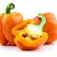 100 ORANGE King BELL PEPPER Sweet Capsicum Annuum Vegetable Seeds