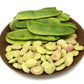 50 White DIXIE LIMA BEAN Butterpea Phaseolus Vulgaris Vegetable Seeds