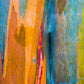 50 RAINBOW EUCALYPTUS Deglupta Gum Multicolor Bark Tree Seeds