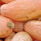 25 Jumbo PINK BANANA SQUASH Cucurbita Maxima Heirloom Winter Vegetable Seeds