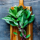 1000 LICORICE BASIL Ocimum Basilicum HERB Flower Seeds