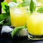 1500 LEMON BASIL Ocimum Basilicum HERB Flower Seeds