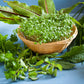 500 SALAD BURNET Sanguisorba Minor Edible Greens Vegetable Herb Flower Seeds