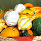 30 MIXED GOURD Lagenaria Siceraria Seeds
