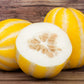 50 EARLY SILVER LINE MELON Cucumis Melo Yellow Striped Skin White Flesh Korean Fruit Seeds