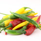 100 MIXED CAYENNE PEPPER Hot Yellow Purple Orange Red Green Capsicum Vegetable Seeds