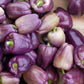 100 LILAC BELL PEPPER Capsicum Annuum Sweet Mild Purple Vegetable Seeds