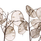 100 LUNARIA Biennis ( MONEY PLANT / Silver Dollar / Honesty / Moonwort / L Annua ) Flower Seeds