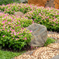 10 KAUAI MIX TORENIA Fournieri Sun or Shade Wishbone Flower Seeds - Mixed Colors 2 Tone Blue Red Pink