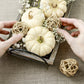 15 WHITE Baby Boo MINI PUMPKIN Miniature Cucurbita Pepo Vegetable Seeds
