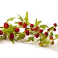 100 STRAWBERRY STICKS / SPINACH Chenopodium Foliosum Fruit Berry Seeds
