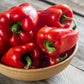 150 BIG RED Bell PEPPER Sweet Capsicum Annuum Vegetable Seeds