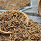 400 CARAWAY Carum Carvi HERB Flower Seeds