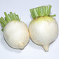 3000 SHOGOIN TURNIP White Japanese Brassica Rapa Root & Greens Vegetable Seeds