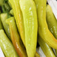 300 HUNGARIAN HOT Wax PEPPER (Hot Banana Pepper) Capsicum Annuum Vegetable Seeds