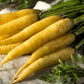 300 SOLAR YELLOW CARROT Daucus Carota Vegetable Seeds